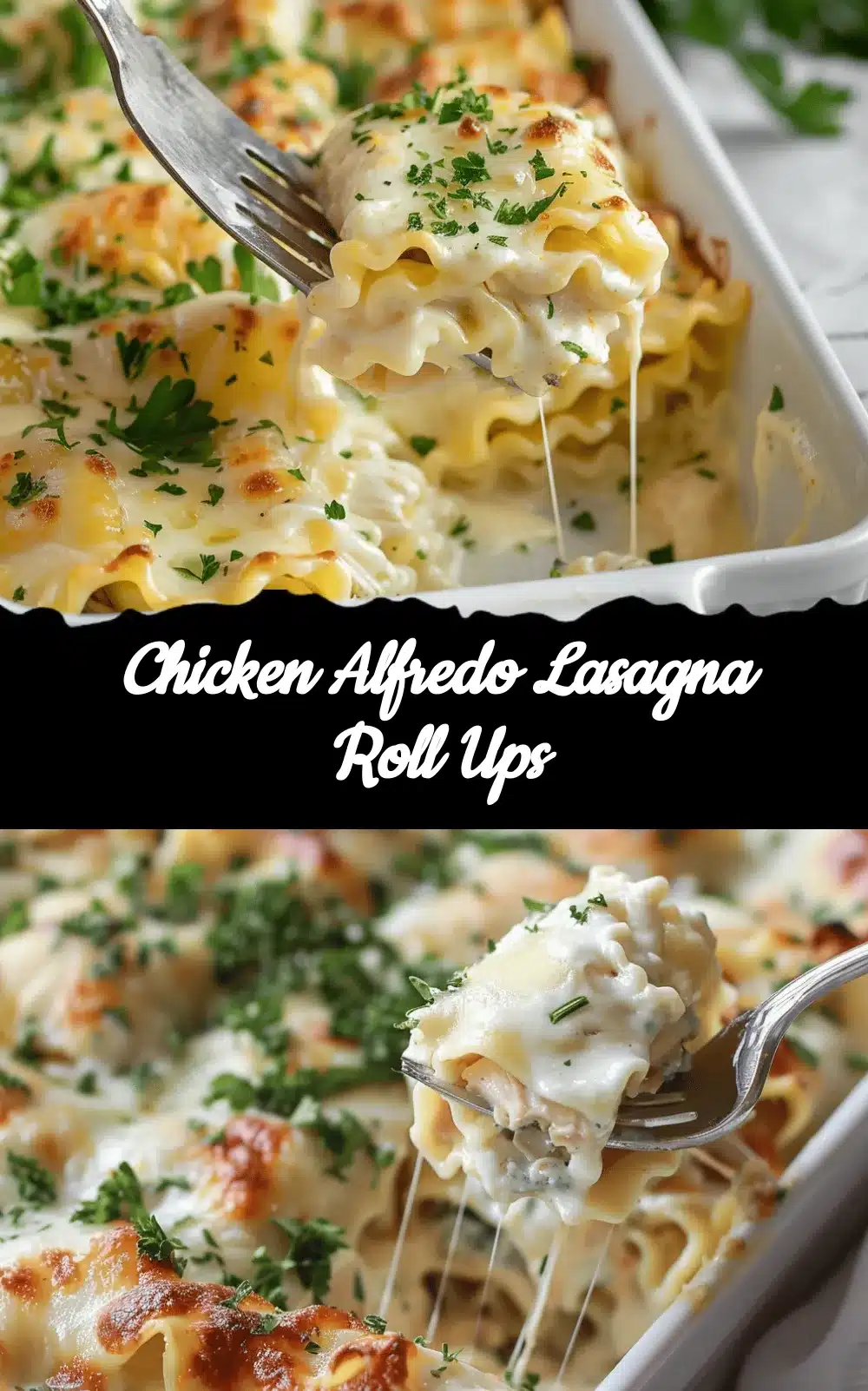 Chicken Alfredo Lasagna Roll Ups recipe
